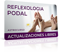 Bono: Acceso ilimitado al curso online